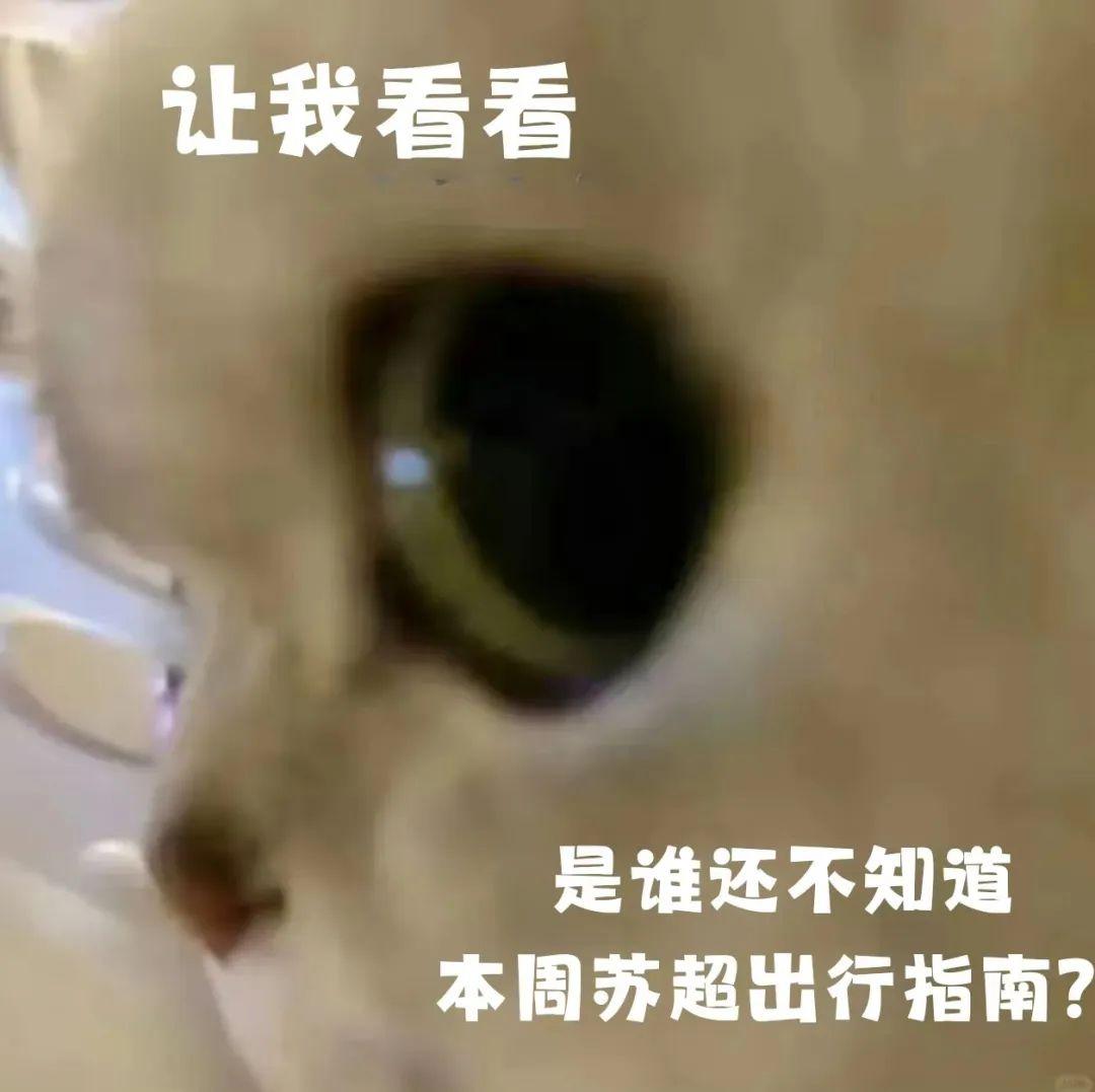 开云体育平台-第十轮“苏超”，重要提醒！